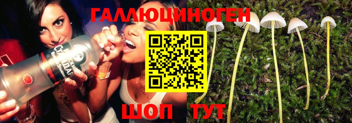 Галлюциногенные грибы Magic Shrooms  Галлюциногенные грибы ЛСД  Невинномысск  Вход с VPN 